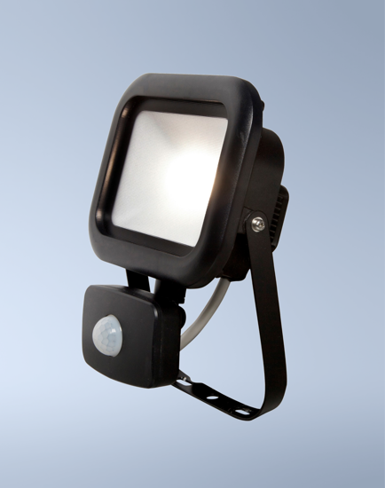 Picture of Remy 10W LED Floodlight with PIR